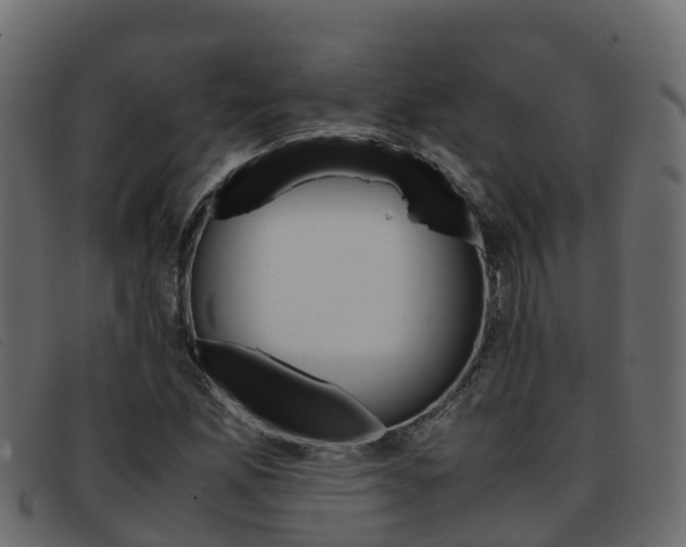 X0000093371165200710111321