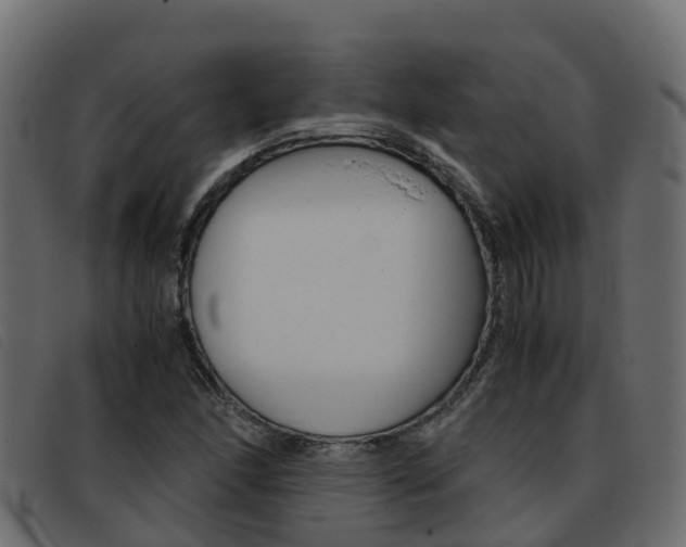 X0000093371166200710111321