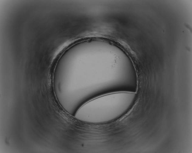X0000093371167200710111321