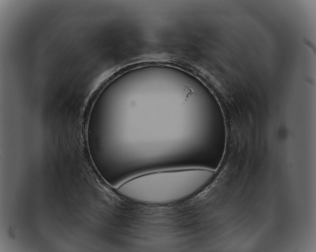 X0000093371168200710111321