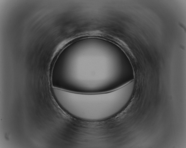 X0000093371176200710111321