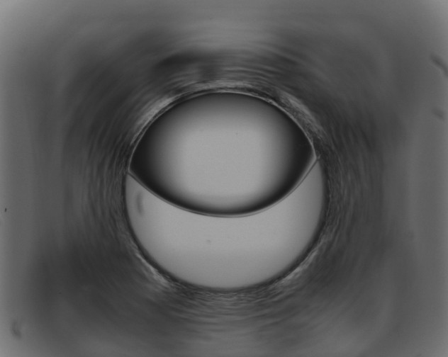 X0000093371177200710111321