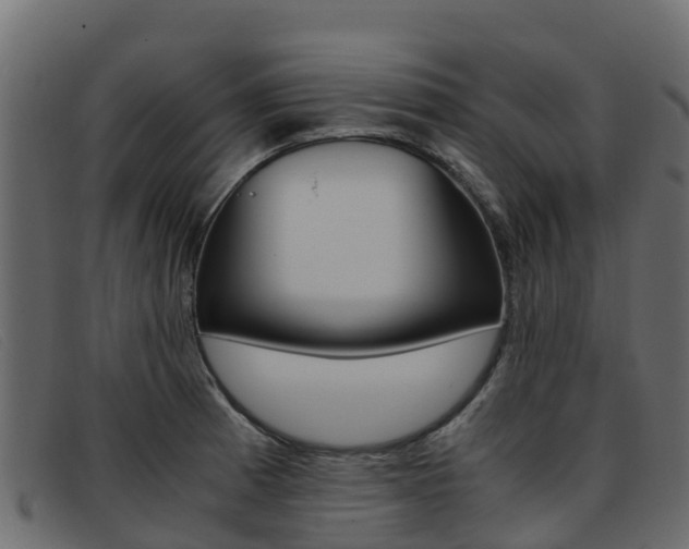 X0000093371185200710111321