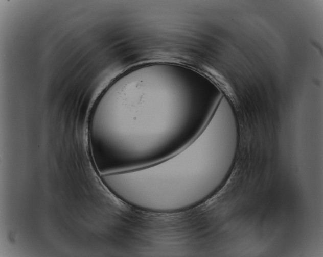 X0000093371188200710111321