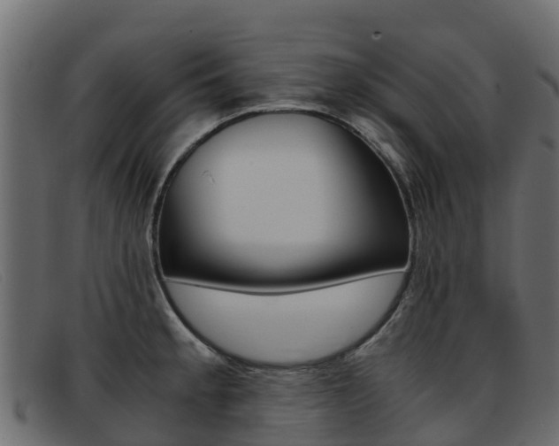 X0000093371189200710111321