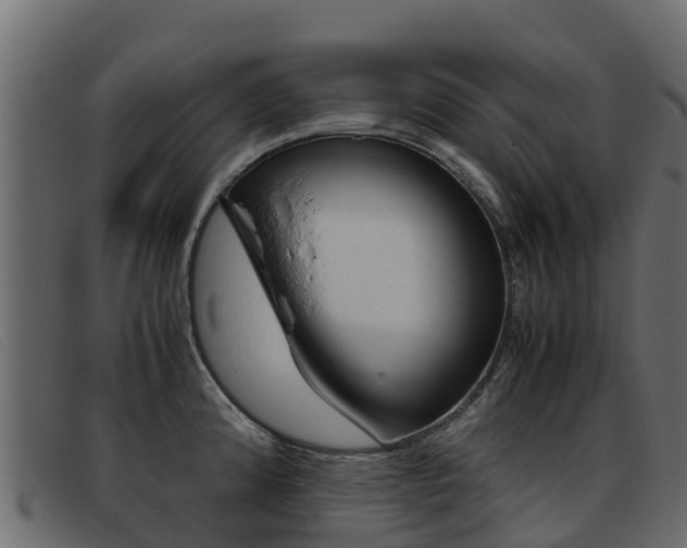 X0000093371192200710111321