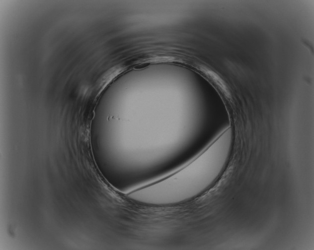 X0000093371193200710111321