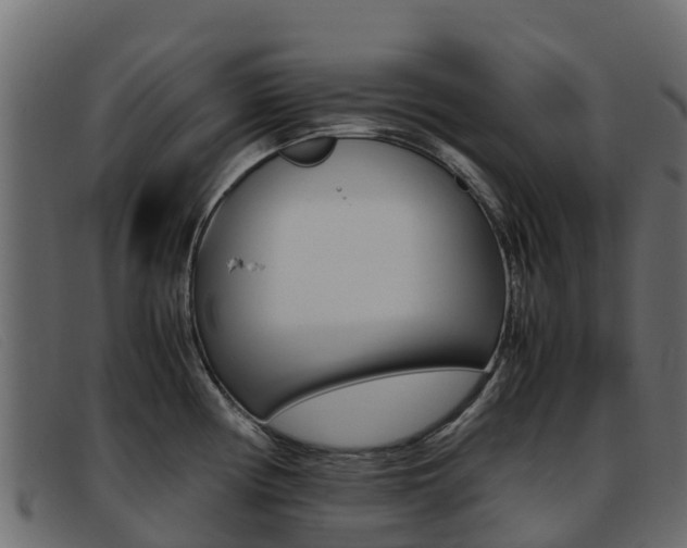X0000093371194200710111321