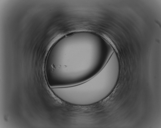 X0000093371197200710111321
