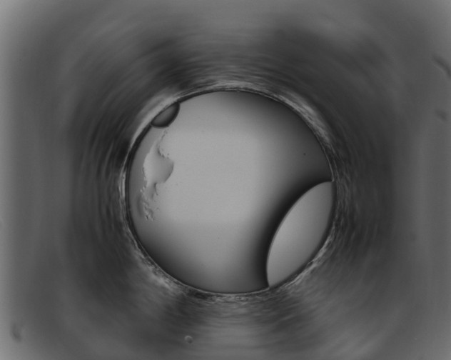 X0000093371198200710111321