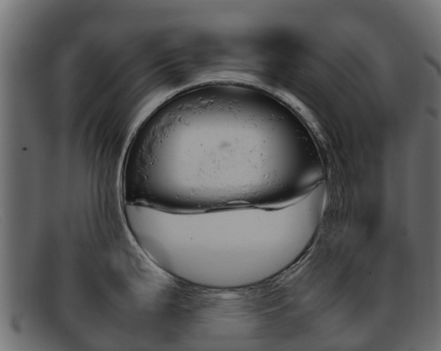 X0000093371199200710111321