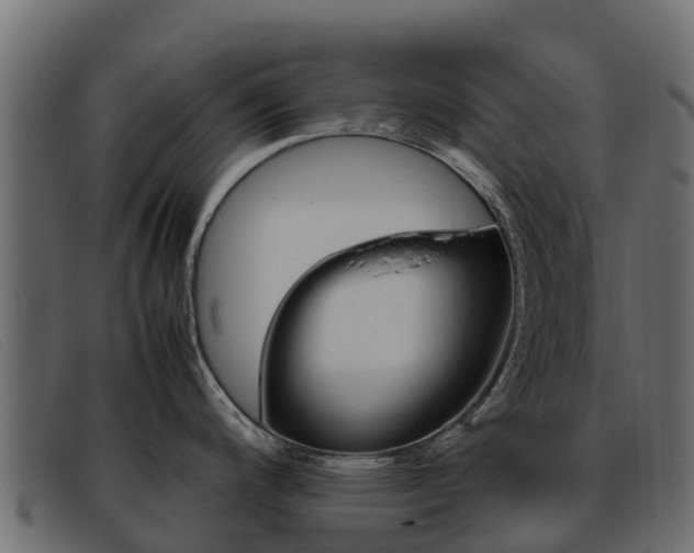 X0000093371200200710111321
