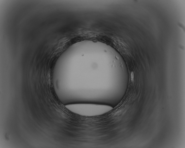 X0000093371203200710111320