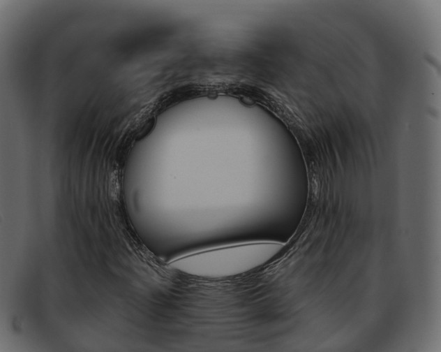 X0000093371204200710111320