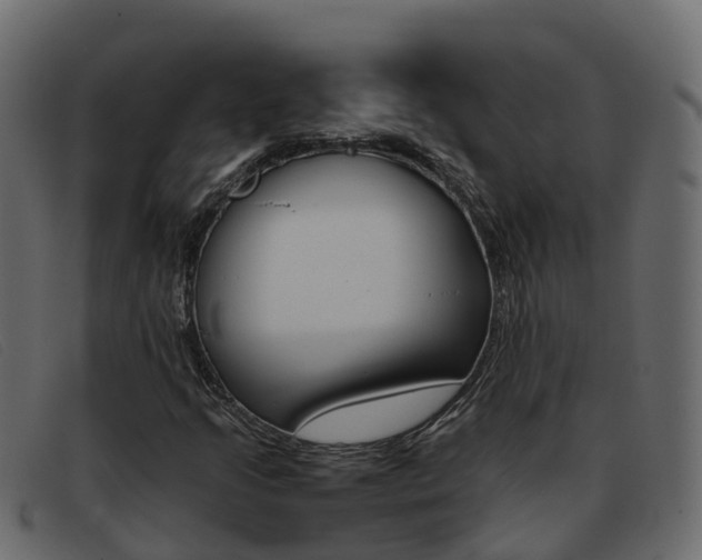 X0000093371205200710111320