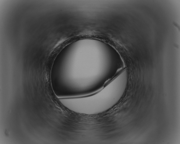 X0000093371206200710111320