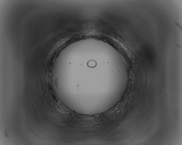 X0000093371207200710111320