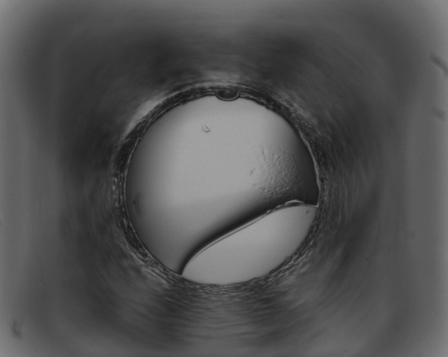 X0000093371208200710111320