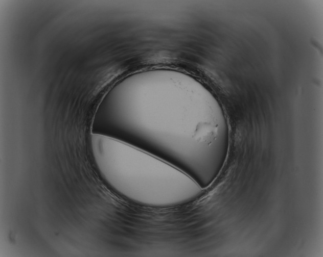 X0000093371209200710111320