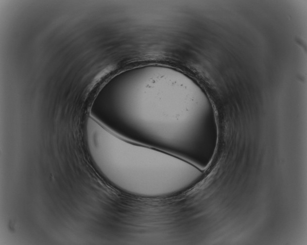 X0000093371210200710111320