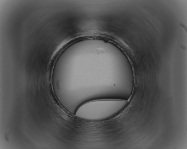 X0000093371216200710111320