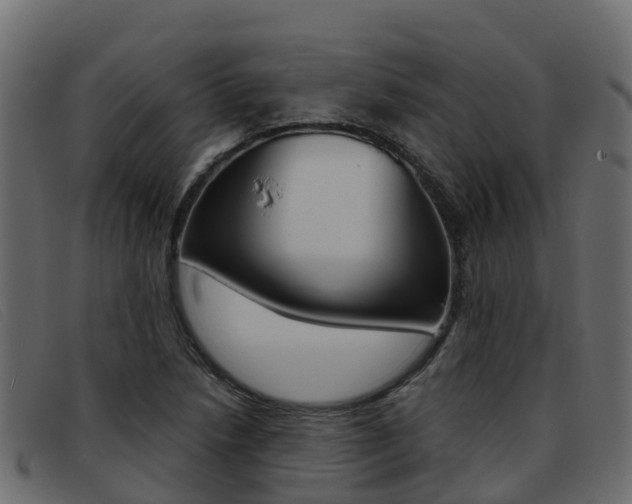 X0000093371218200710111320