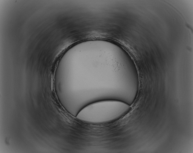 X0000093371219200710111320