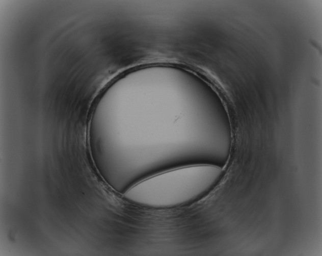X0000093371220200710111320
