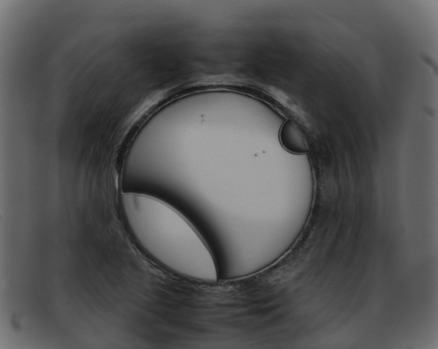 X0000093371221200710111320