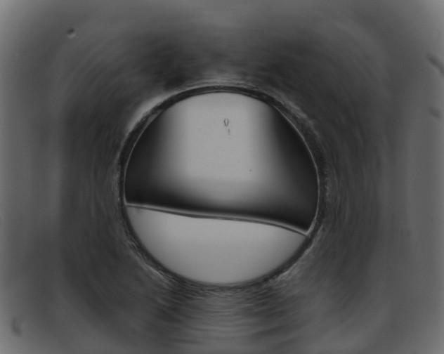 X0000093371222200710111321
