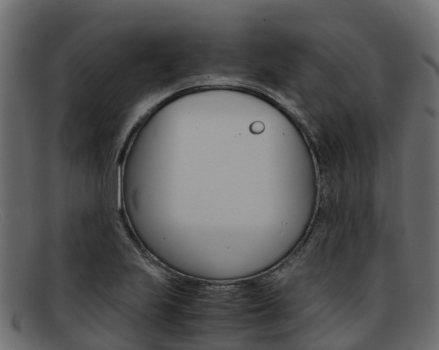 X0000093371223200710111321