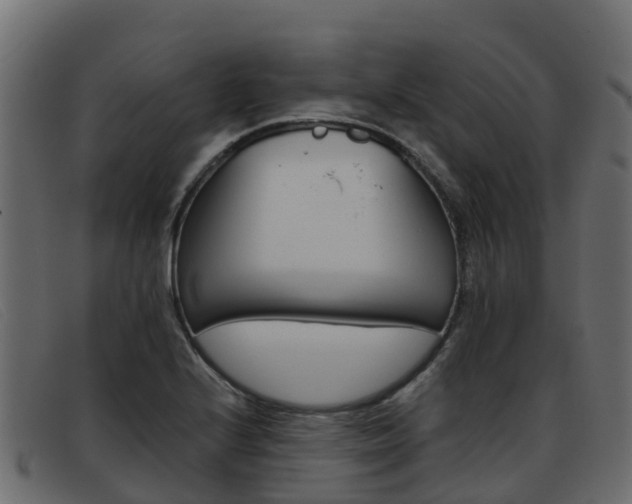 X0000093371224200710111321