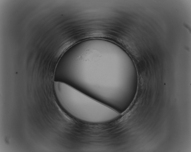 X0000093371225200710111321