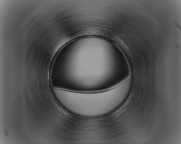 X0000093371226200710111321