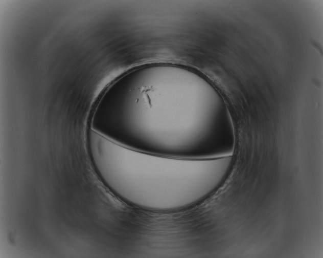 X0000093371230200710111321