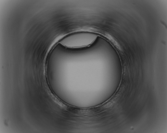 X0000093371232200710111321