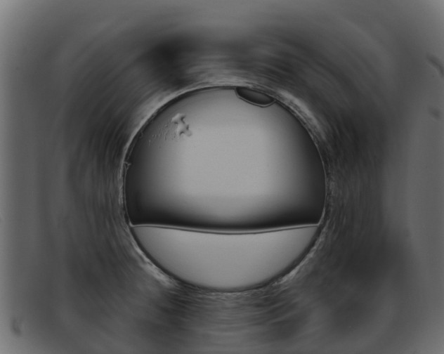 X0000093371236200710111321