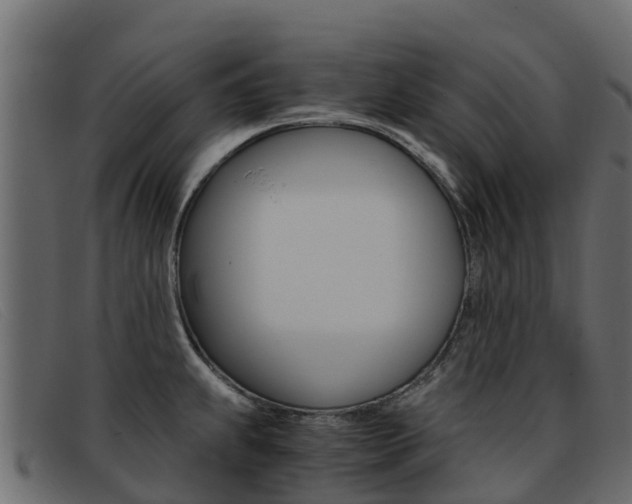 X0000093371239200710111321