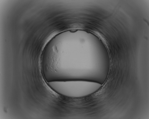 X0000093371243200710111321