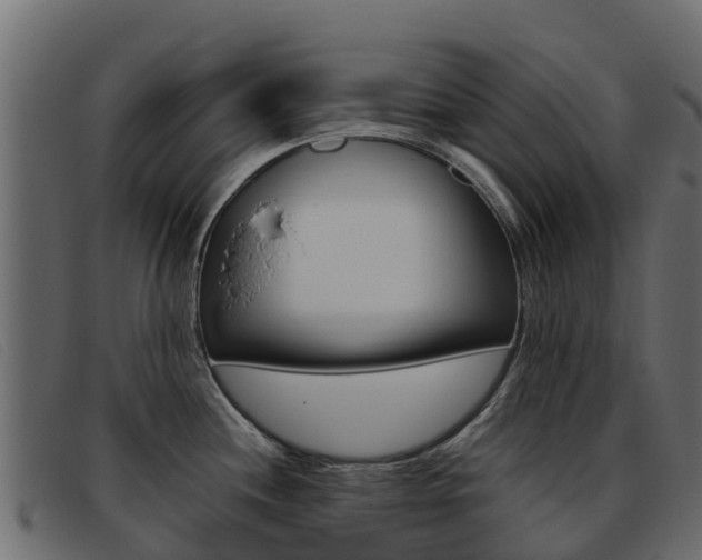 X0000093371244200710111321