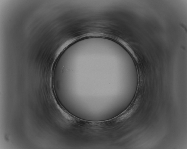 X0000093371245200710111321