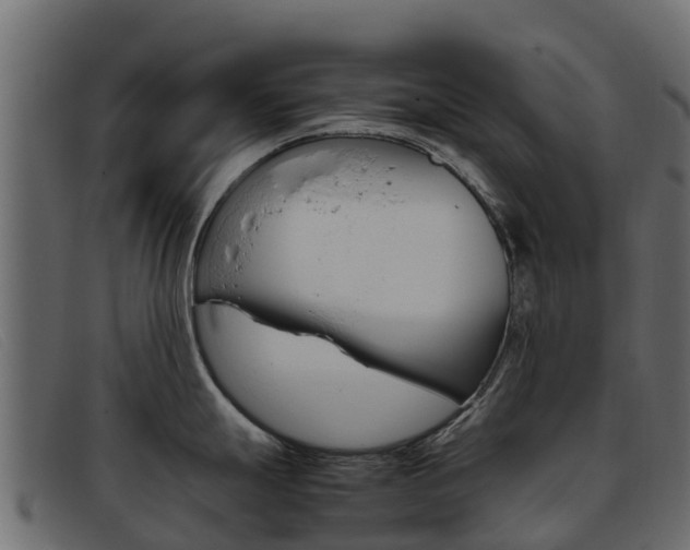 X0000093371247200710111321