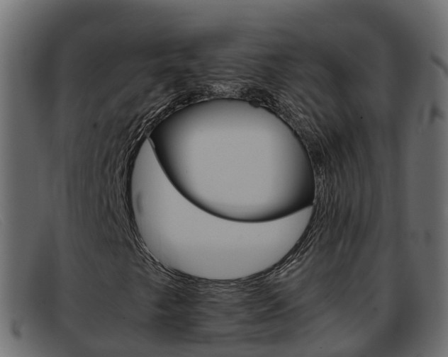 X0000093371249200710111320
