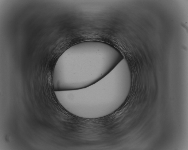 X0000093371251200710111320