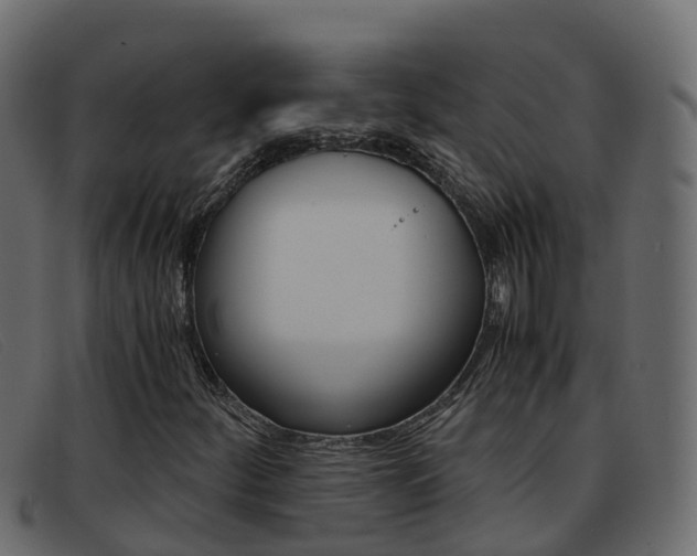 X0000093371252200710111320