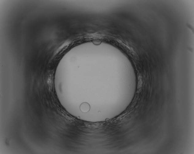 X0000093371254200710111320