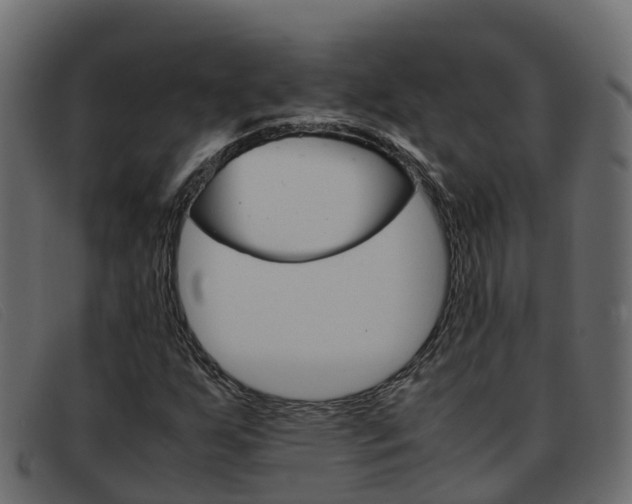 X0000093371255200710111320