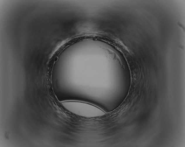 X0000093371256200710111320