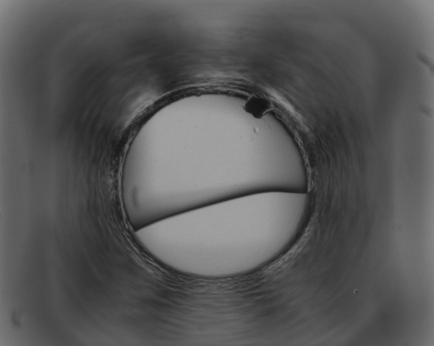 X0000093371259200710111320