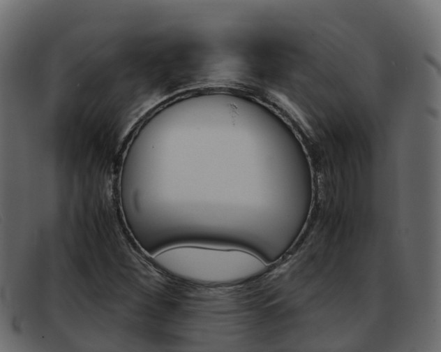 X0000093371260200710111320